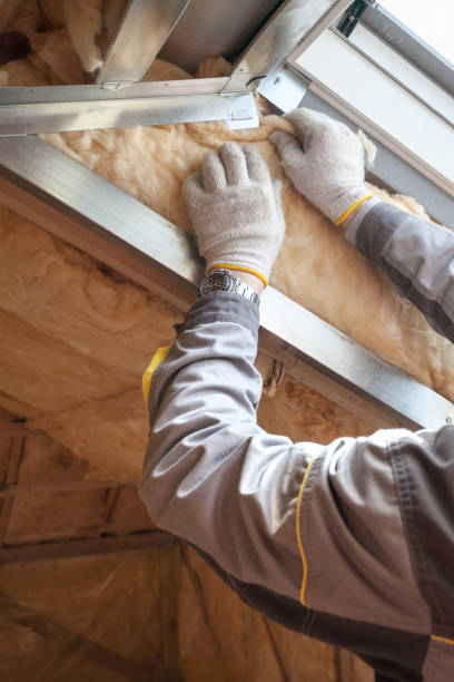 Best Crawl Space Insulation  in Laguna Niguel, CA