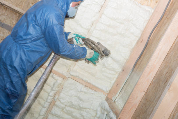 Best Crawl Space Insulation  in Laguna Niguel, CA